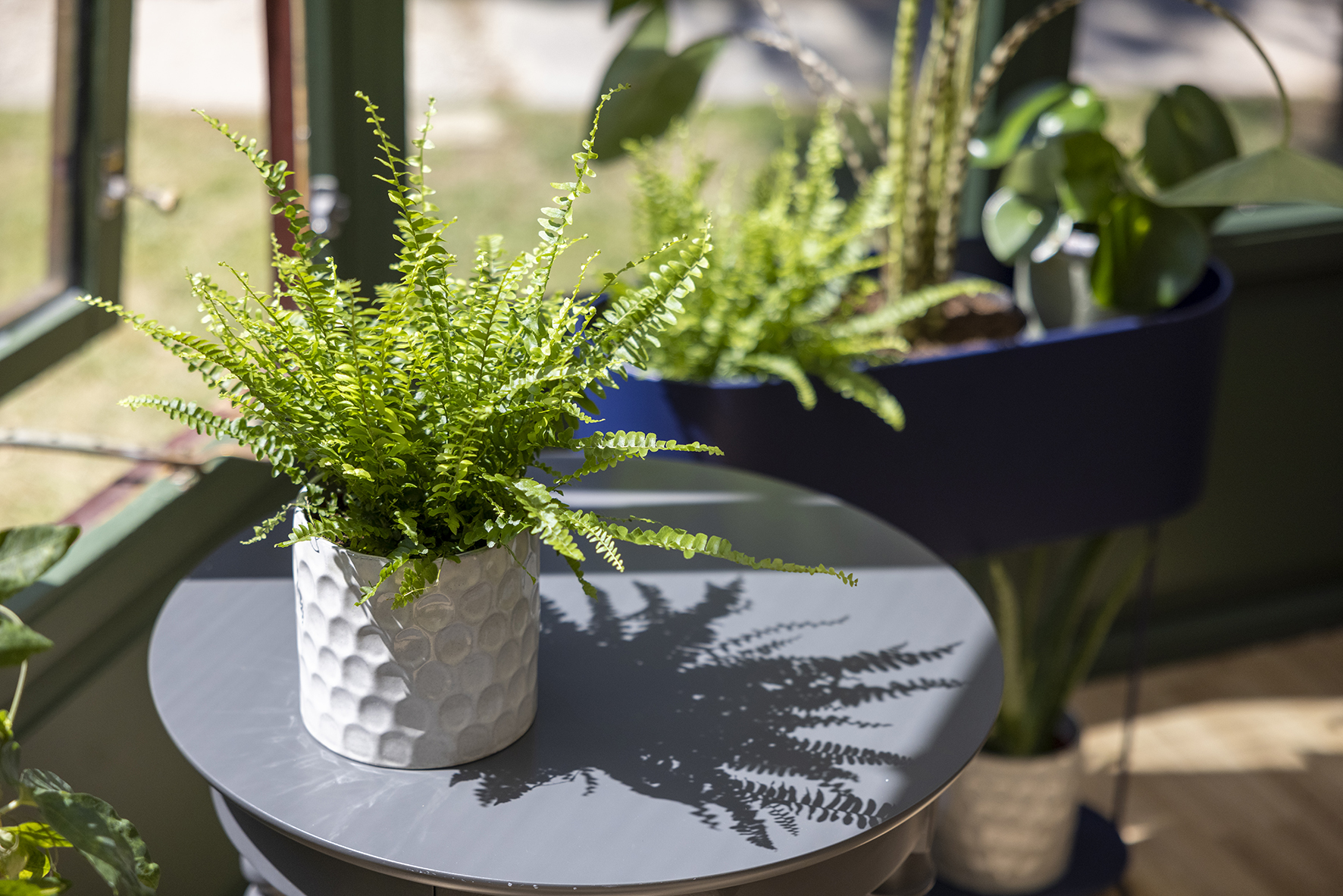 The Bill House Conservatory Interior